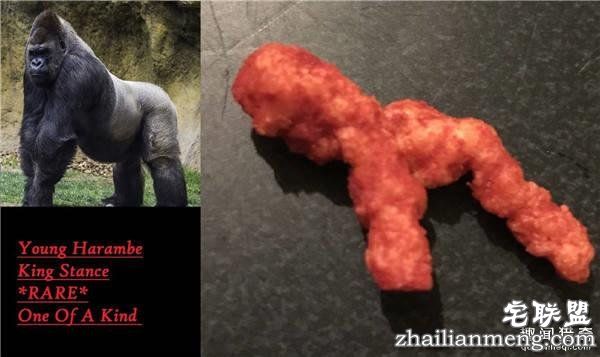 10万美元买一块零食？外国网友疯起来自己都怕