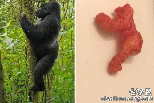 10万美元买一块零食？外国网友疯起来自己都怕