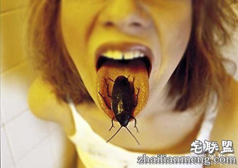 如果蟑螂全部消失：地球瞬间大乱……