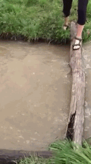 兄弟，玩大发了吧，这一下是废了！