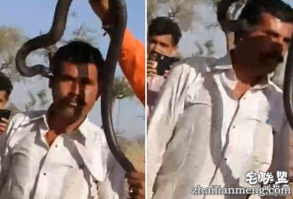 印度男子被眼镜蛇亲了一口没在意：一小时后身亡
