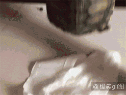 瓜确实是好瓜，就是太不正经！