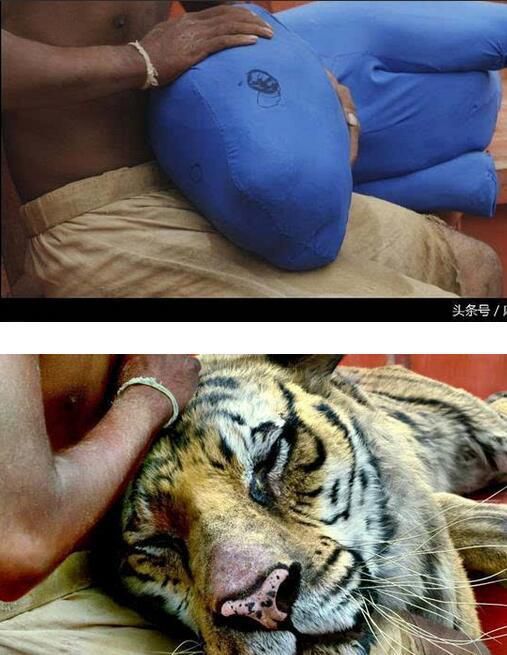 当美国大片没有加特效的时候：越看越像神经病