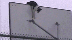 一口气喝了5斤水的结果