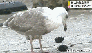 一口气喝了5斤水的结果