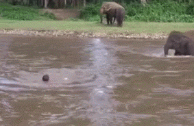 一口气喝了5斤水的结果