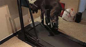 一口气喝了5斤水的结果