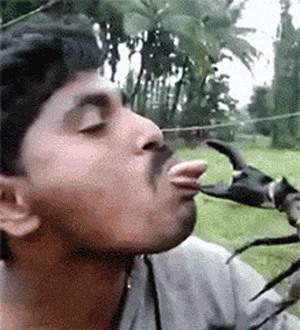 大叔，你这么玩，就是长十条舌头也不够用！