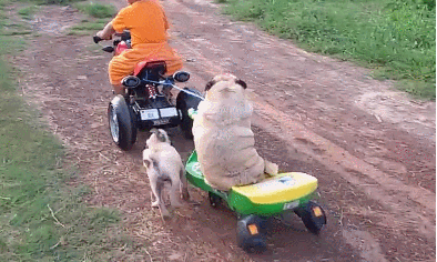 姐夫喝多了酒後，沒想到姐姐是這樣戲弄姐夫的，太有才了！！