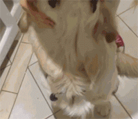 一口气喝了5斤水的结果