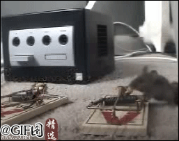 隔着屏幕，都仿佛听到了你的惨叫