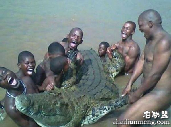 哭笑不得三兄弟竟对鳄鱼做这事