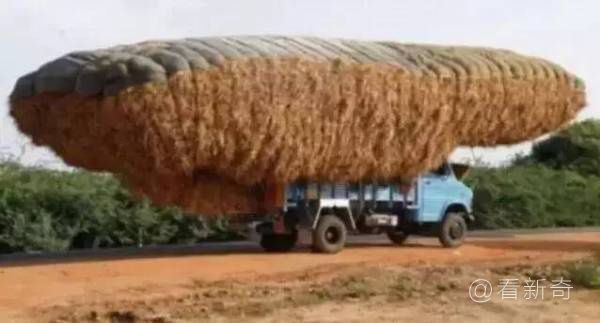 令人咋舌的真正的牛人！高手，永遠在民間⋯⋯