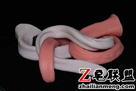 ▲▼可喷卵异形假GG！ 还可自制蛋蛋体会「体内产卵」快感（图／翻摄自PrimalHardwere）