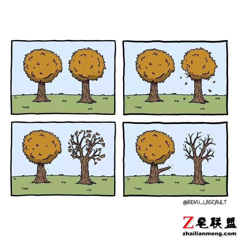 段子：社会的确很残酷，但也不要小瞧了自己的适应力图片